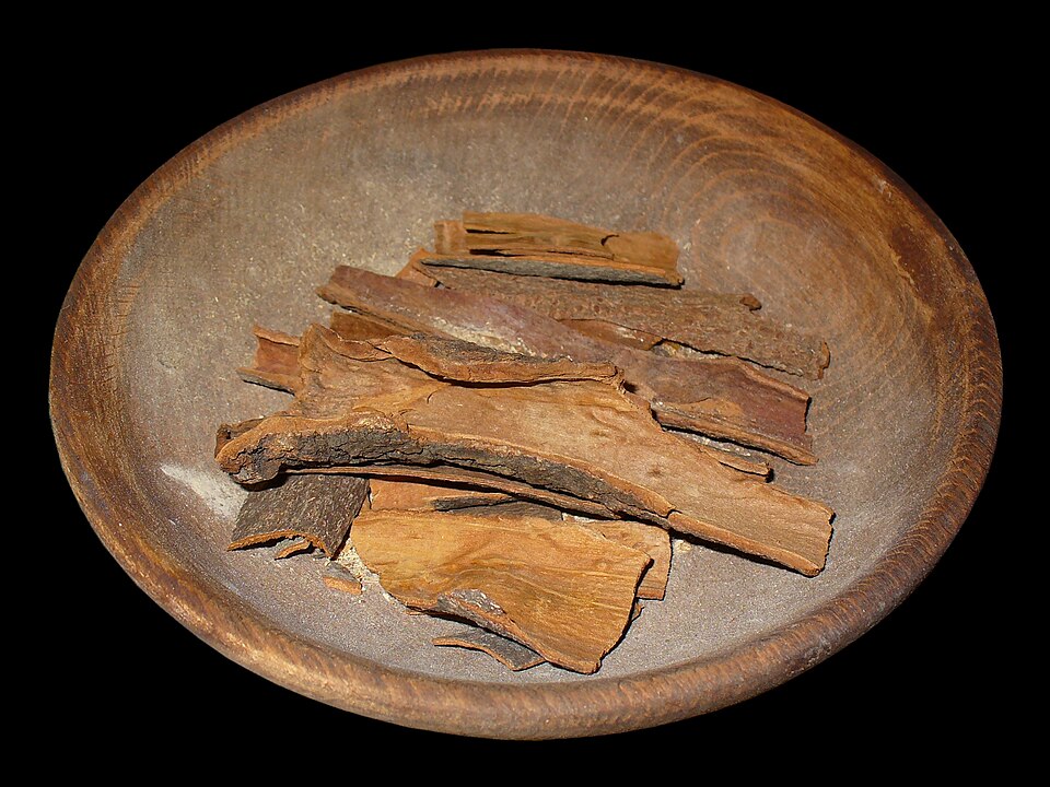 Cinnamomum cassia bark photograph from Wikimedia Commons.